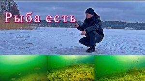 Рыбка под водой - Лещ в январе