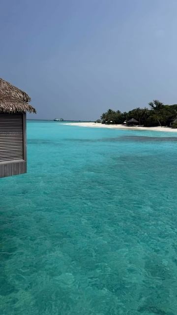 Сегодня хочу написать слова благодарности нашей путеводительнице в мир экзотики, красоты и самых