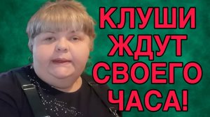 КЛУШИ ЖДУТ СВОЕГО ЧАСА. ЮЛЯ СТАР. ОБЗОР.