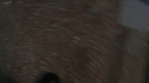 Теорема ЖКХ_Подъезд_2026.01.11_14-45