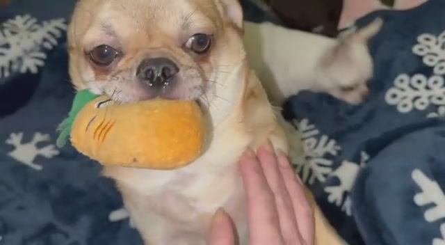 Всем доброго, воскресного утречка. смотреть онлайн