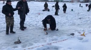 поимка форели на жерлицу