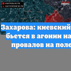 Захарова: киевский режим бьется в агонии на фоне провалов на поле боя