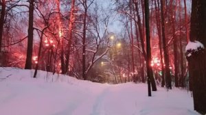 Зимние Воробьёвы горы , Москва