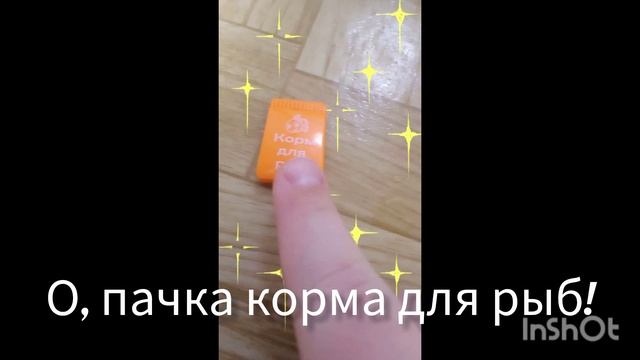 Белла и Пуша. часть 11 игрушечный аквариум. смотреть онлайн