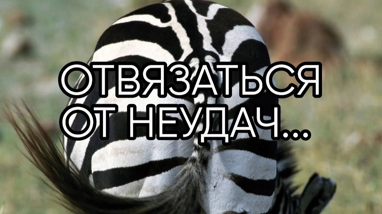 ОТВЯЗАТЬСЯ ОТ НЕУДАЧ…ДЛЯ ВСЕХ…