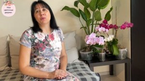 Моя история: как любовь к цветам превратилась в «Цветочные дворики»