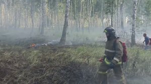 Как я провел лето, горим