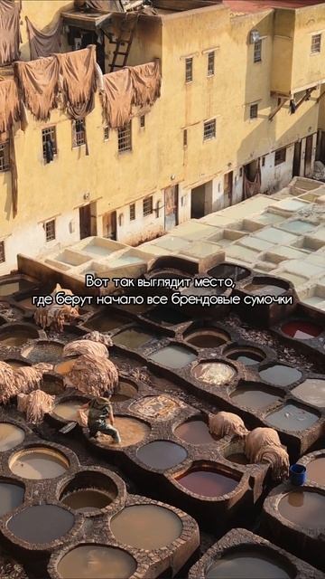 Вот как на самом деле выглядит богатый люкс смотреть онлайн