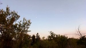 В раздумьях...