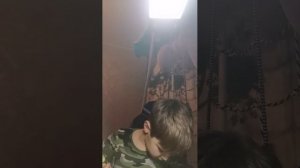 винда 12 с вирусами