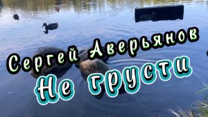 Сергей Аверьянов. Не грусти, красивая инструментальная музыка