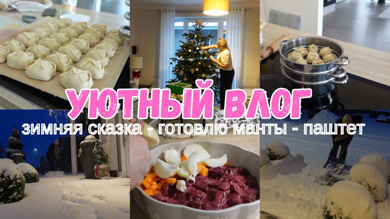 VLOG🇩🇪: ❄️СКОЛЬКО СНЕГА😍❄️УБИРАЮ ЁЛКУ 🎄ГОТОВЛЮ МАНТЫ И ПАШТЕТ смотреть онлайн