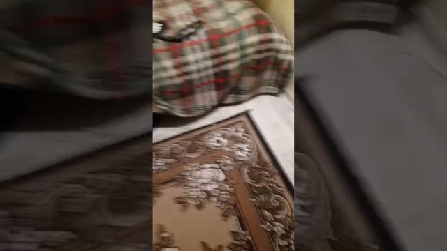 2 часть страшилки-маньяк. смотреть онлайн