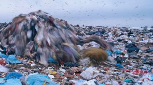 Актеры, режиссеры и музыканты: кто из известных людей умер в 2025 году