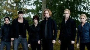 ВАМПИРЫ ГОТОВЯТСЯ К СХВАТКЕ