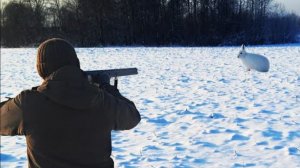 Отличная охота на Зайца по снегу. Они выходили чётко на стрелка!!!