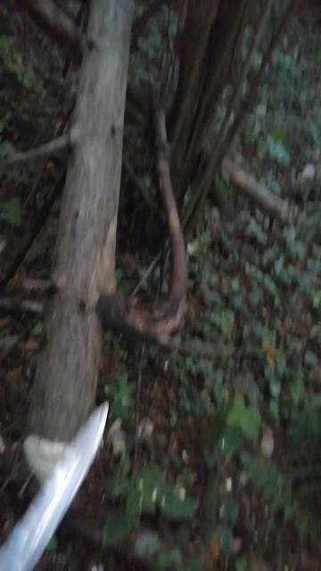 С таким ножом хоть в тайгу.