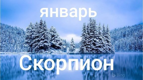 Таро расклад для Скорпионов на январь 2026 года смотреть онлайн