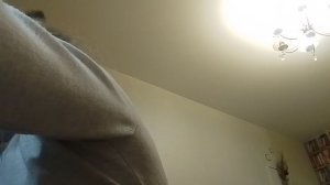 рисунок панды