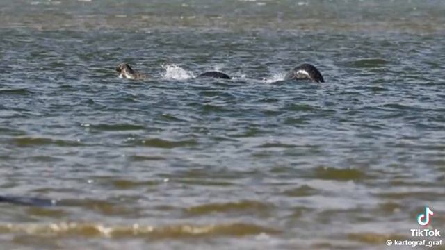 Якутия смотреть онлайн