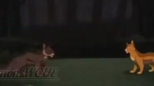 Коты воители Звездоцап/Клип Artemas "I like the way..."