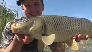 СДЕЛАЛ ПОМОСТ И ТАСКАЮ С НЕГО САЗАНОВ В ДИКОМ ПРУДУ! Рыбалка на поплавок.