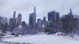 🗽 Нью-Йорк - Центральный парк в снегу / 2026