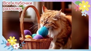 Пушистые помощники.  Забавные котики.