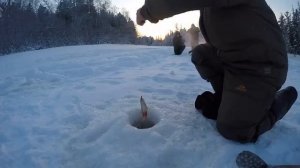 Река Етыпур !!! Окунь, плотва, язь в новом 2026 году!