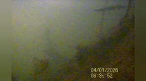 Рыбалка с друзьями на нано окуня