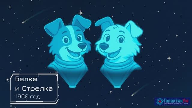 Урок Животные в космосе смотреть онлайн