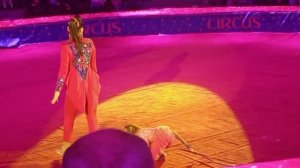 Кисловодский цирк 11.01.26 Умная обезьянка🐵