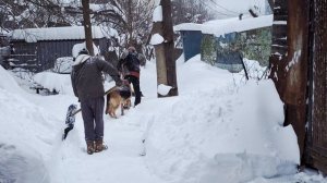 Снежный коллапс накрыл Подмосковье.Как мы боремся со снегом-9.01.2026 год.