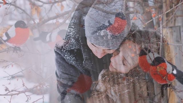 Ринат Сафин- Снегири смотреть онлайн