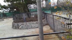 Парк львов _Тайган_. 🦁🦁🦁🦁🦁. 15.