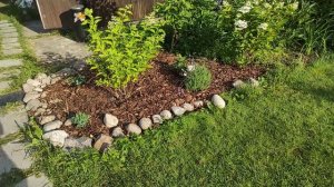 41-ДАЧА..Бочки для воды на дачу...1 часть(19.07.-25.07.21.)