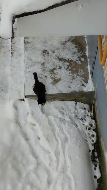 PXL_20260111_121257227