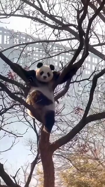 VID_20260111_134018_034.mp4