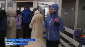 Как прошли новогодние каникулы на горнолыжном курорте Карачаево-Черкесии