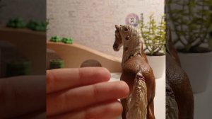 ●♡// Топ 7 моих любимых лошадей шляйх //●♡