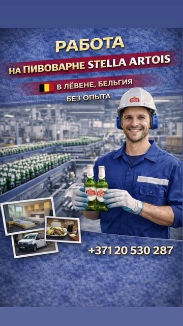 Вакансия в Бельгии на заводе без опыта от агентства Stratum Recruitment
