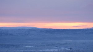 В Мурманске встретили первый рассвет после 40-дневной полярной ночи: видео.