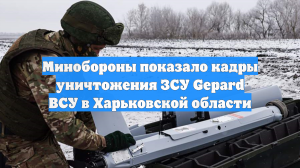 Минобороны показало кадры уничтожения ЗСУ Gepard ВСУ в Харьковской области