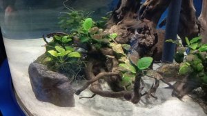 музей мирового океана обитатели моря и океана