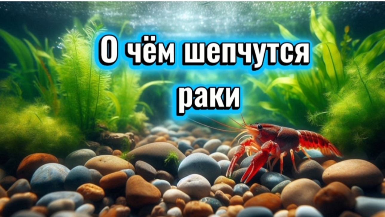«О чём шепчутся раки» рассказ Михаила Пришвина. #внеклассноечтение #школьникам #детям #длядетей