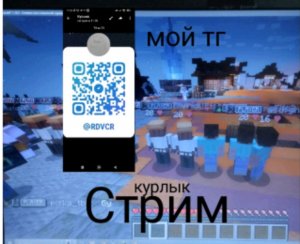 играю на сервере в майне