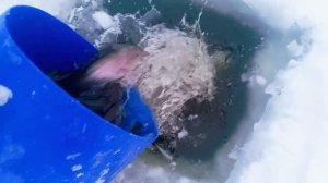 запуск 11.01.26