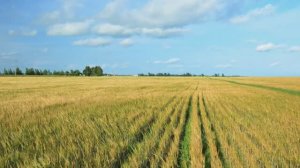 Ивановка земля отцов