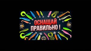 3 способа оснастить приманку: джиг головка, шарнир и офсетный крючок